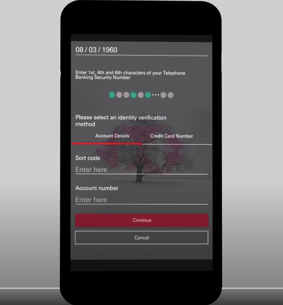HSBC-salasanan syöttöesimerkki