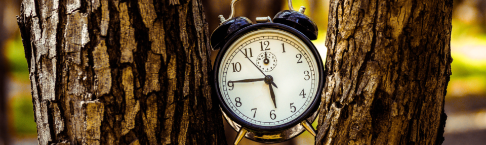 Kuinka tarjota parasta reaaliaikaista asiakastukea vuonna 2025