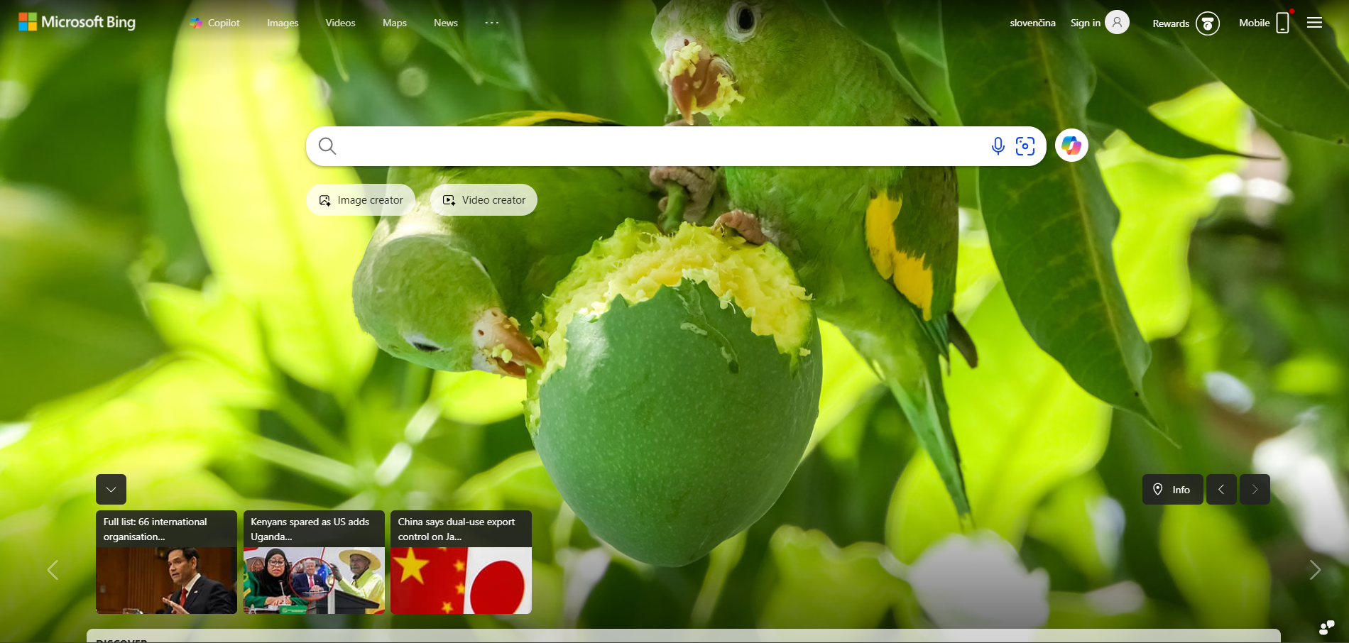 Bingin Help Desk -yhteystiedot