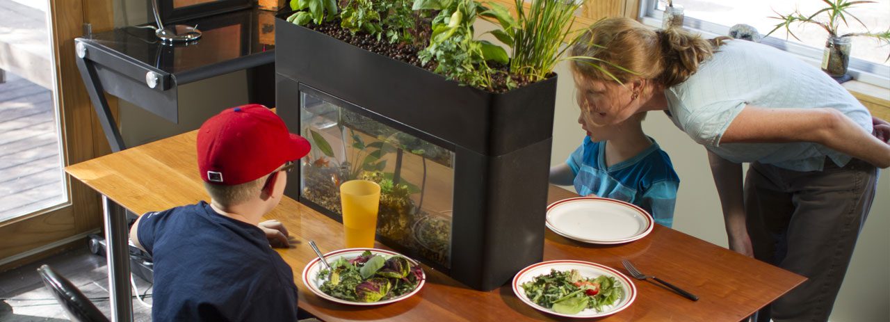 AquaSprouts kestävyys