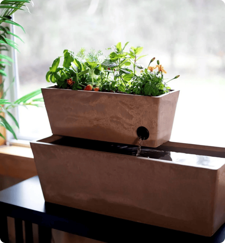 Kuinka AquaSprouts saavuttaa 96,5 % asiakastyytyväisyyden LiveAgentin avulla