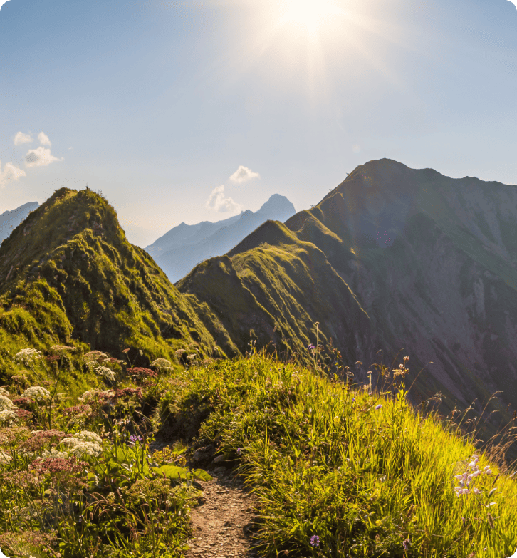 Kuinka ZlavaDna paransi asiakastukea LiveAgentin avulla